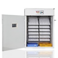 2020 china hot sale supplier full automatic 1000 dual solar energy powered poultry egg incubator for hatching eggs