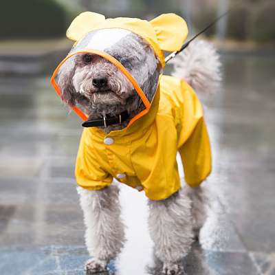 hot cheap new style oem custom waterproof fashion full cover dog clothes reflective dog raincoat pet clothing dog for sale